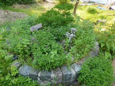 Schullandheim Cluvenhagen