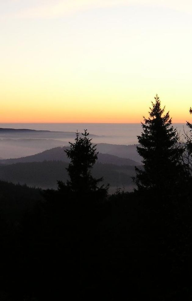 Schullandheim - NaturfreundeHaus Feldberg
