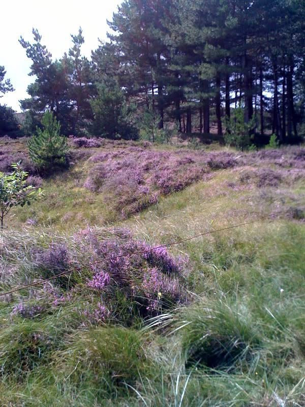 Schullandheim Honigparadies