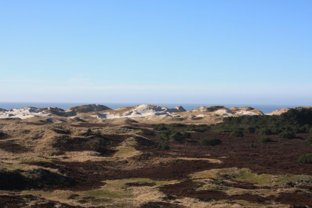 Schullandheim Honigparadies