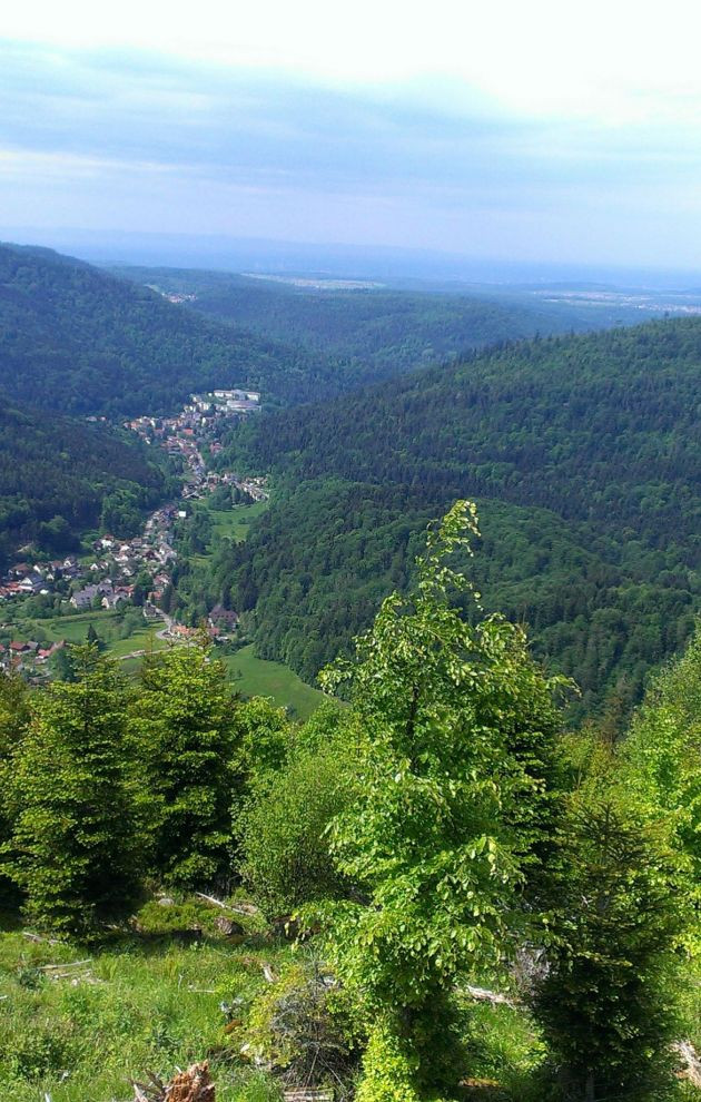 Ferienheim Aschenhütte - Bildungsstätte der DJO