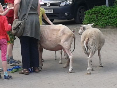 Haus am Paschberg Schullandheim und Freizeithaus für Menschen mit Behinderungen