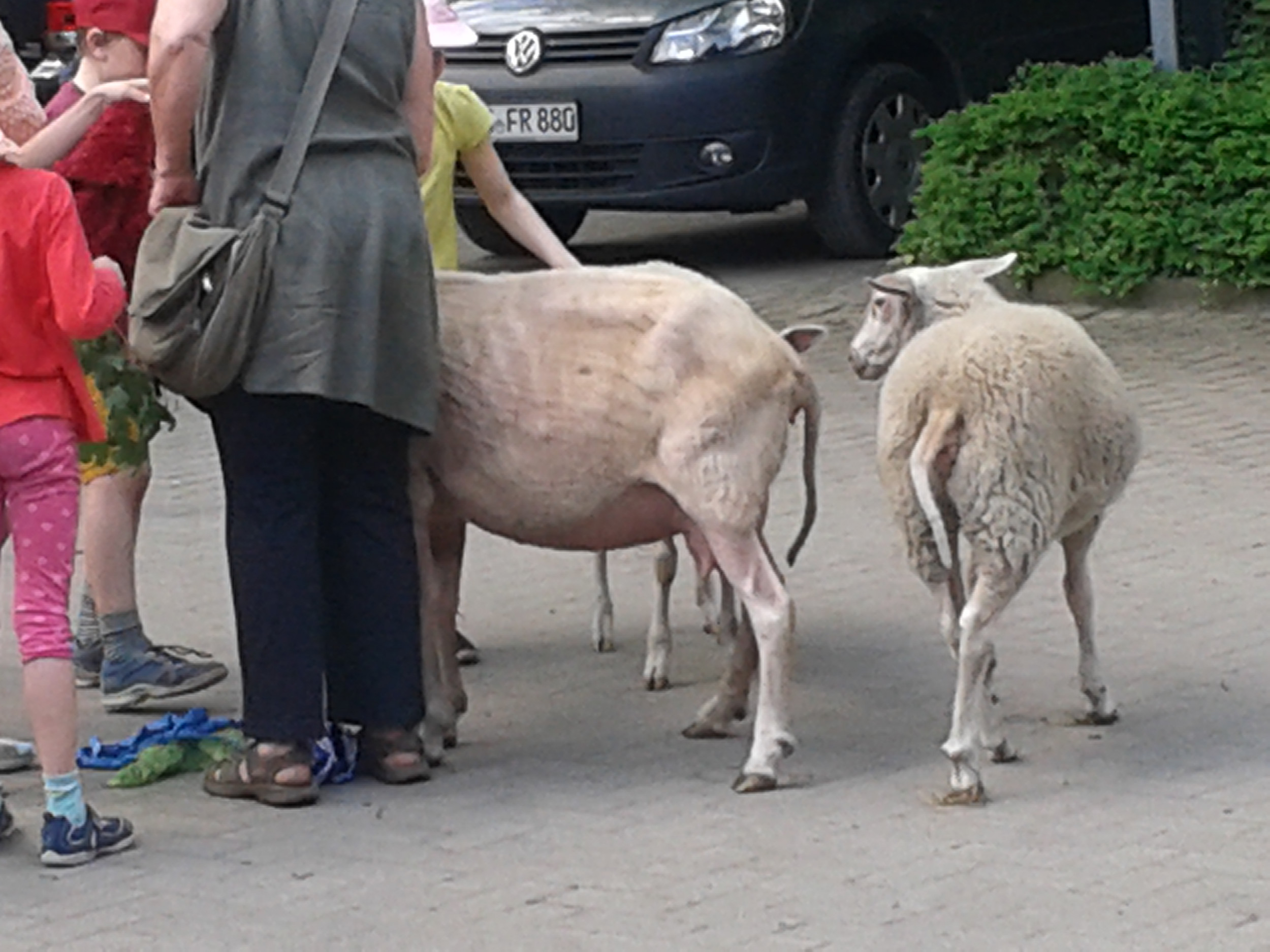 Haus am Paschberg  Schullandheim und Freizeithaus für Menschen mit Behinderungen