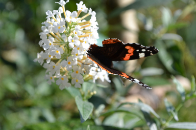 Haus am Paschberg Schullandheim und Freizeithaus für Menschen mit Behinderungen