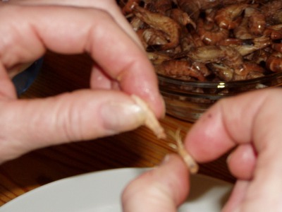 Haus am Paschberg  Schullandheim und Freizeithaus für Menschen mit Behinderungen