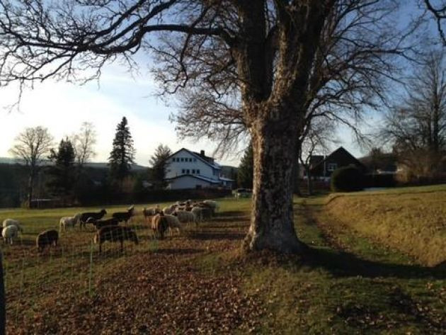 Freizeit- und Schullandheim Sonnhalde