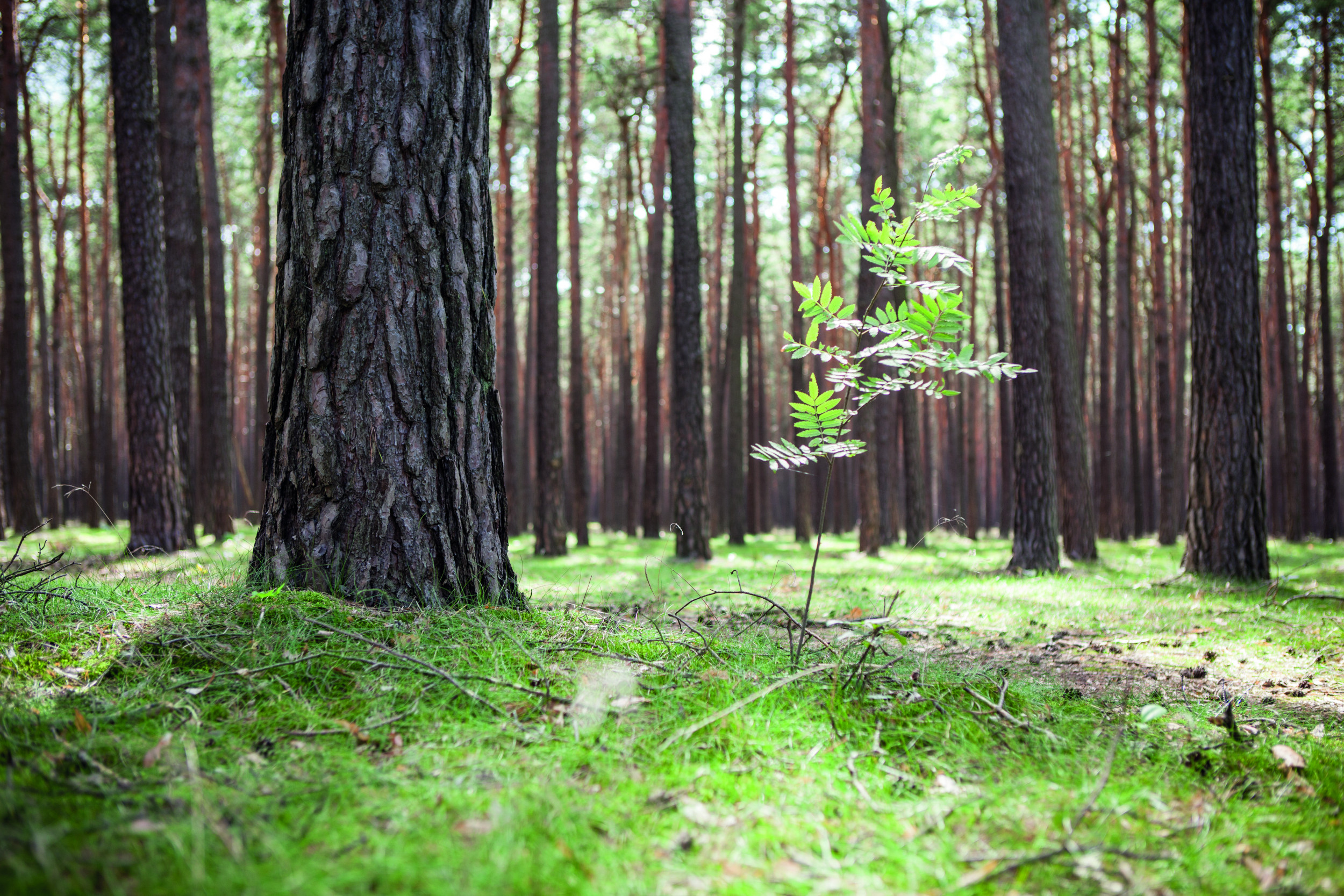 martas Gästehäuser Dolgensee