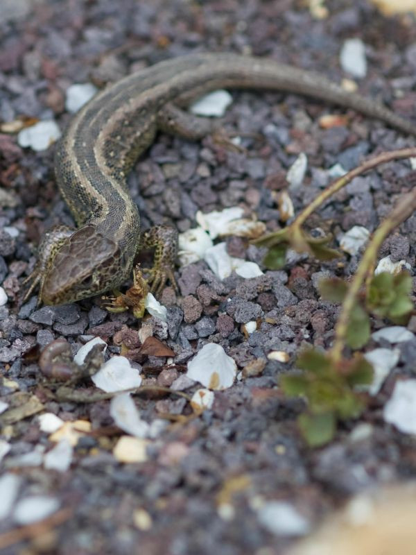 Umweltbildungszentrum Listhof - Schullandheim