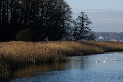 ADS - Schullandheim Glücksburg