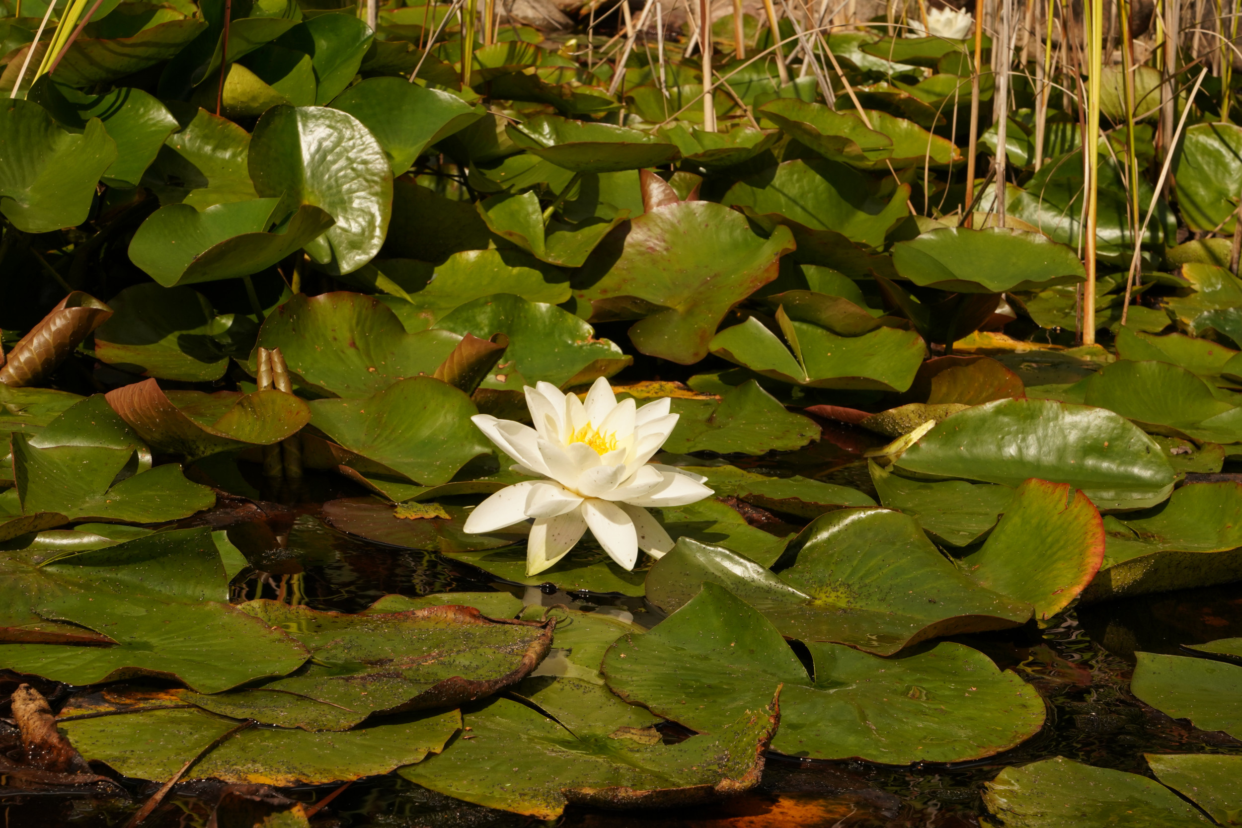 AWO SANO Ferienzentrum Schwerin