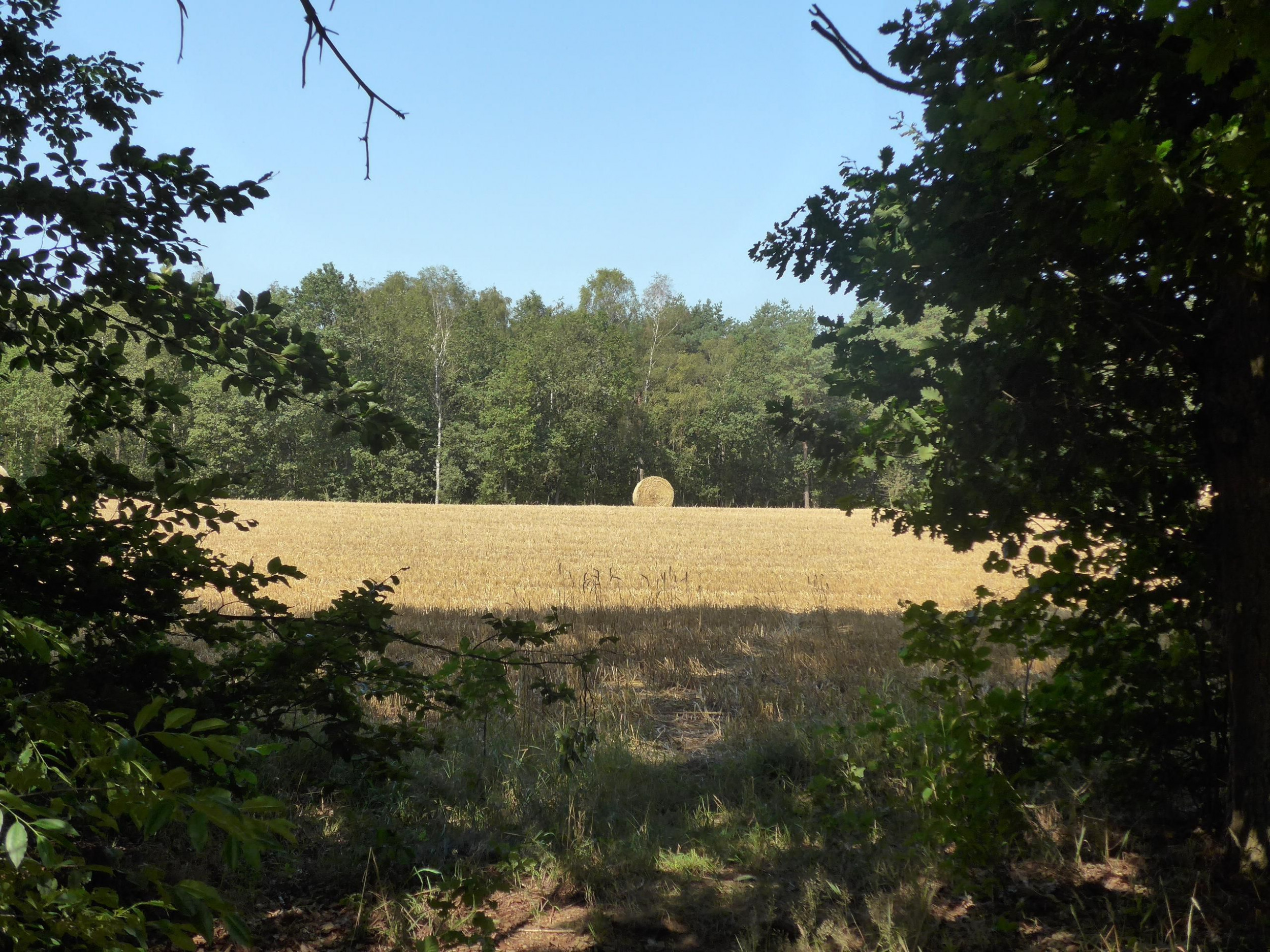 Schullandheim Badenstedt