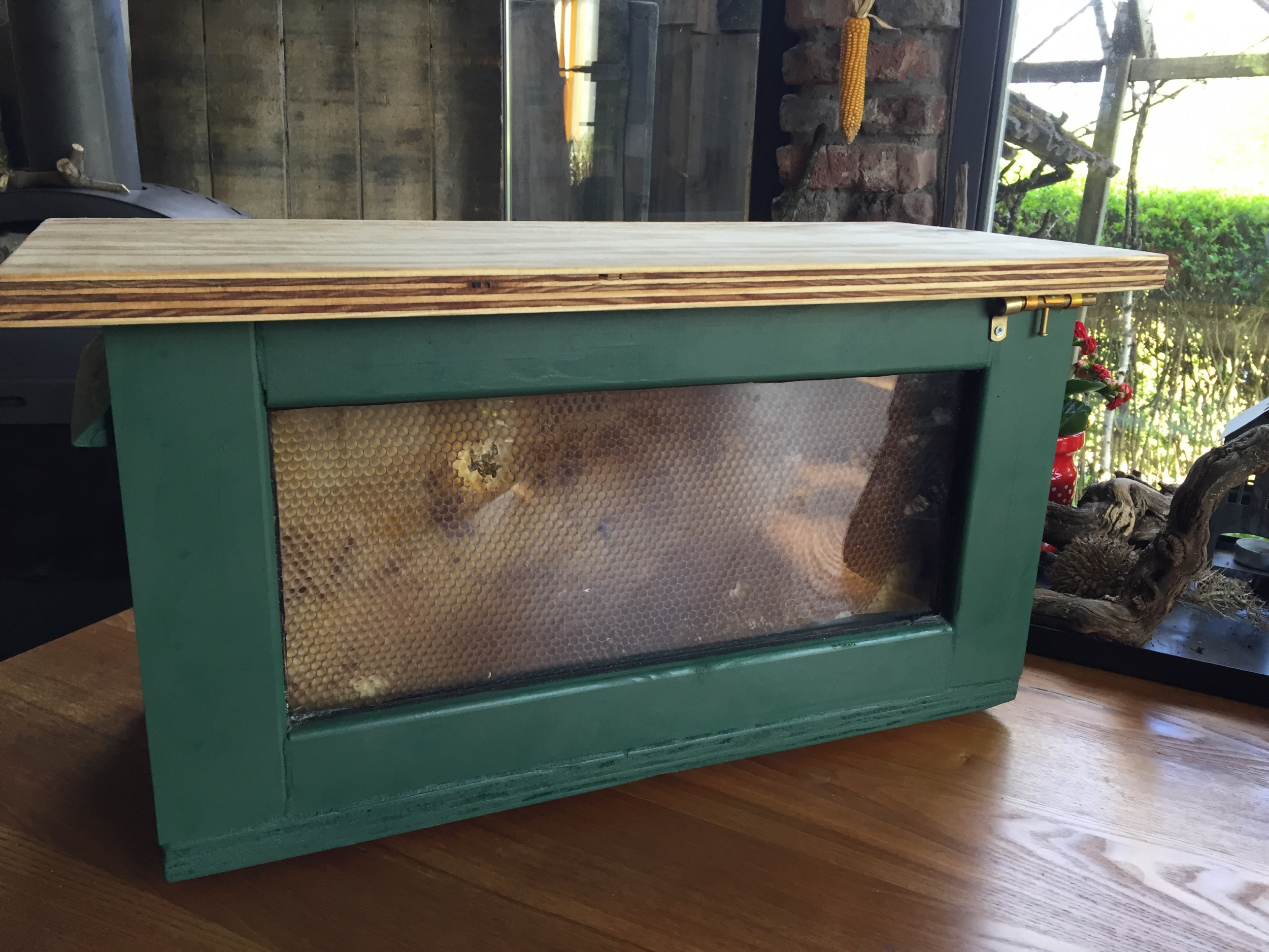 Imker Peters - Bienen-Box für Schulungszwecke