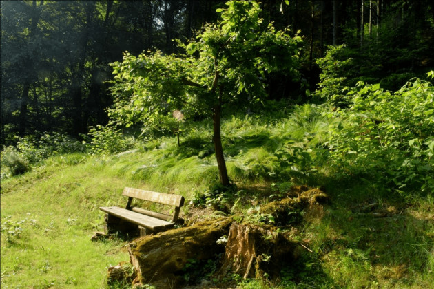 Landheim Lessingschule Mannheim e.V.