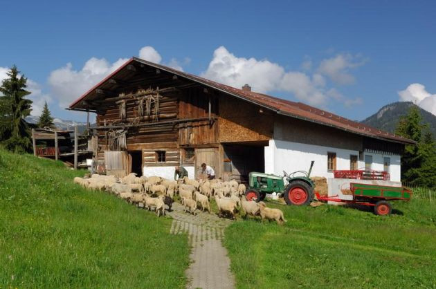 Schullandheim Schwandalpe