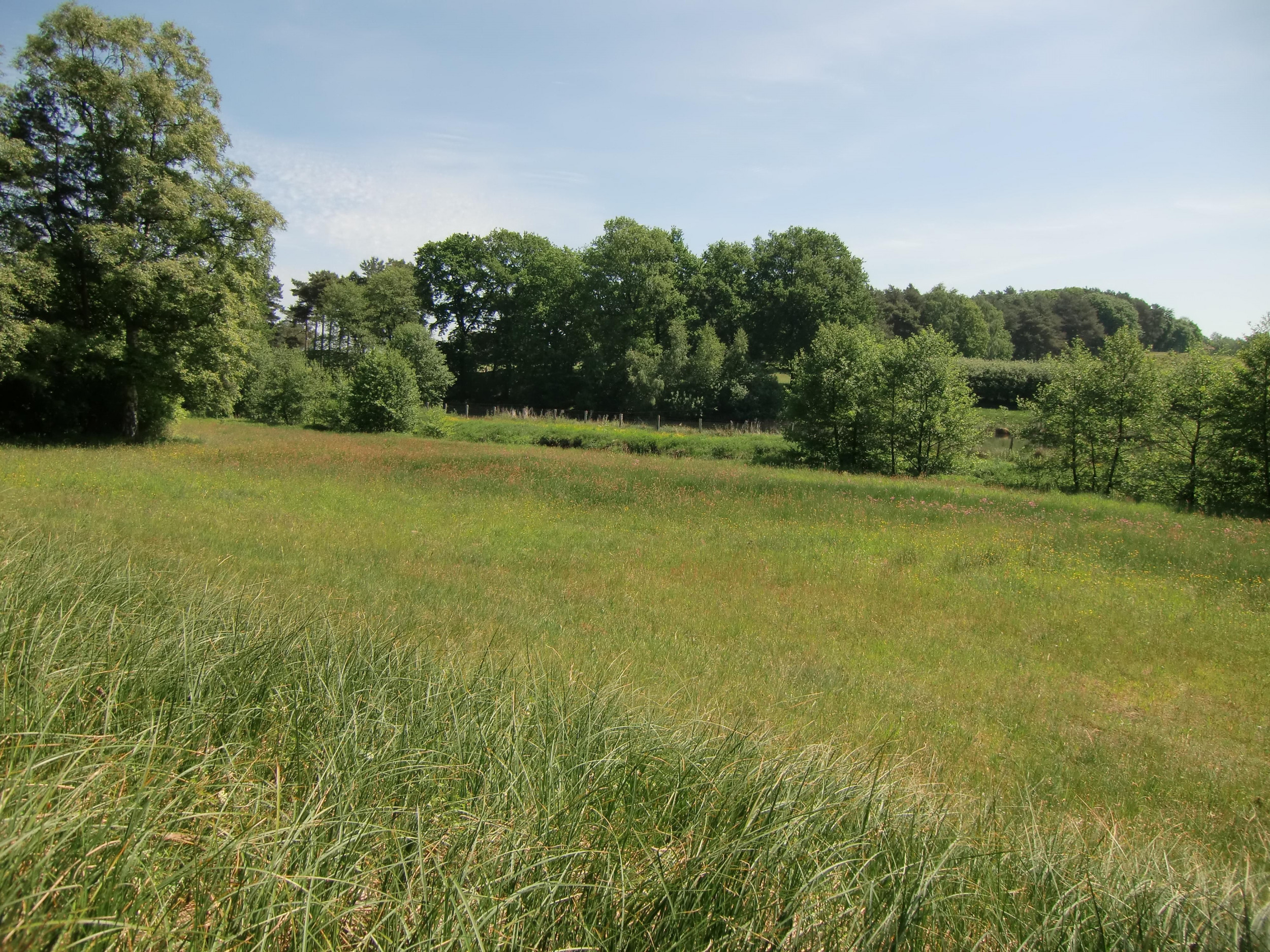 Schullandheim Badenstedt