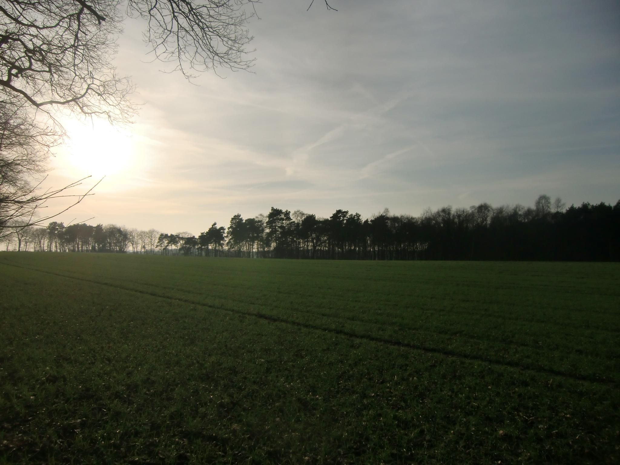 Schullandheim Badenstedt