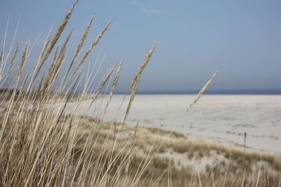 Inselhaus Langeoog