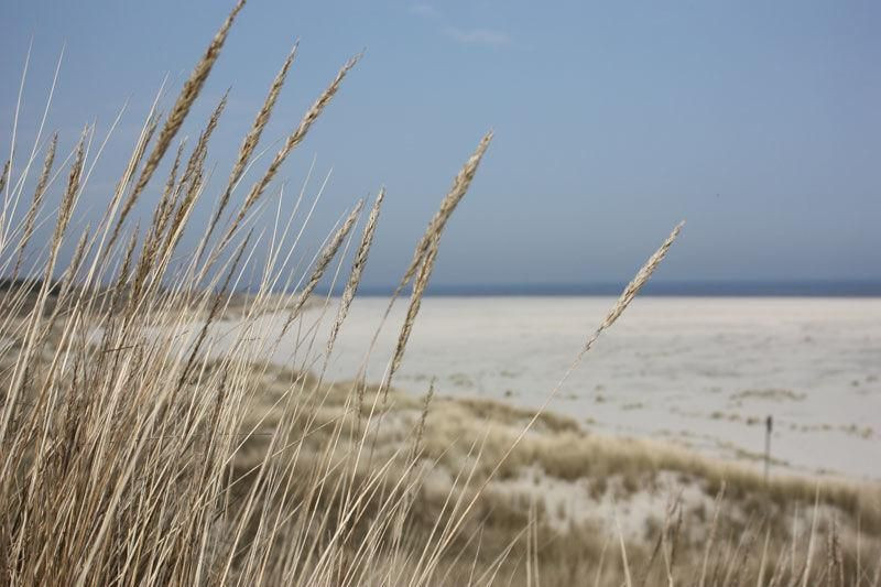 Inselhaus Langeoog