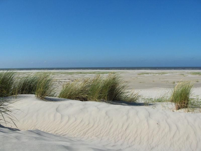Inselhaus Langeoog
