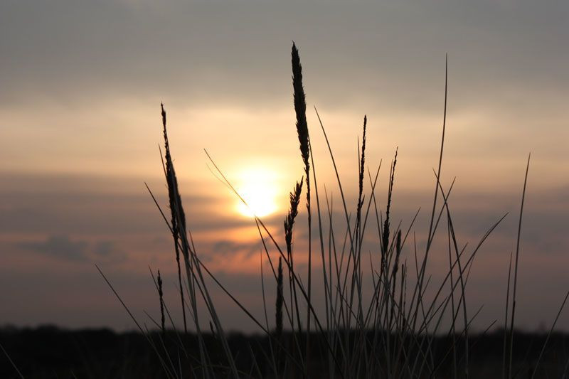 Inselhaus Langeoog