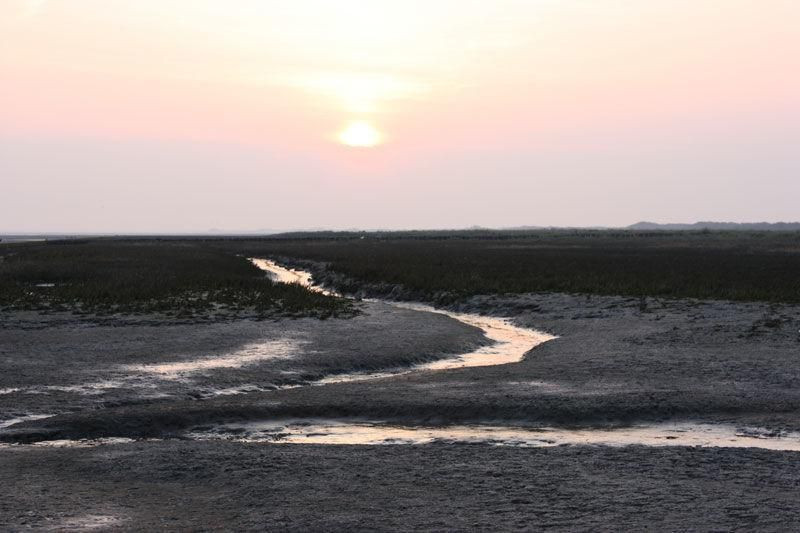 Inselhaus Langeoog