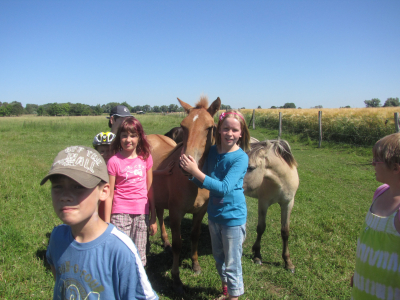 Schullandheim Ökoscheune Tangermünde (Sa 018)