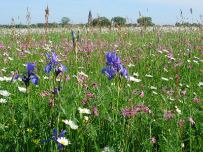 Schullandheim Ökoscheune Tangermünde (Sa 018)