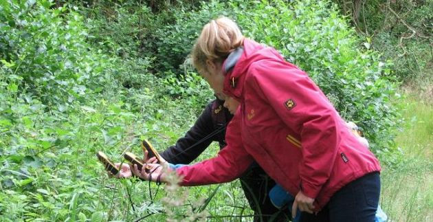 Zebef e.V. (Schullandheim Alt Jabel)