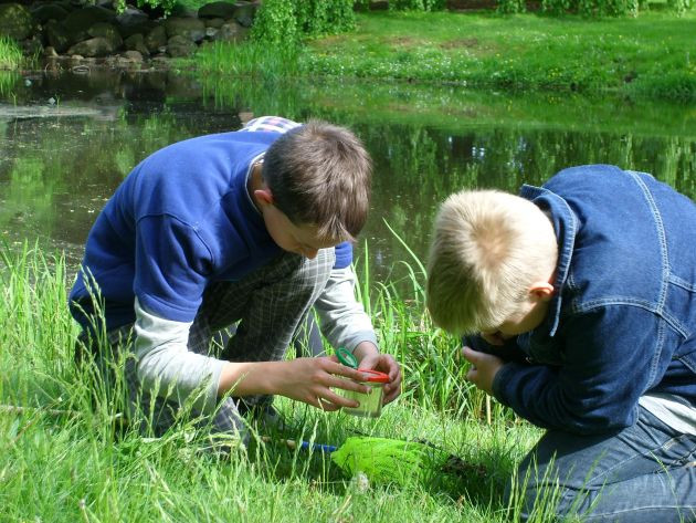 Zebef e.V. (Schullandheim Alt Jabel)