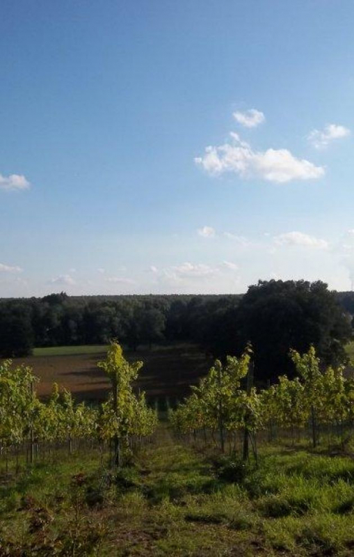 Schullandheim Jerischke