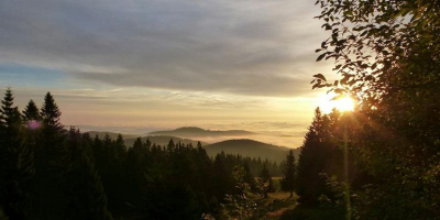 Schullandheim - NaturfreundeHaus Feldberg