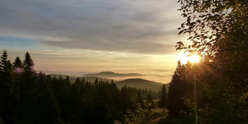 Schullandheim - NaturfreundeHaus Feldberg