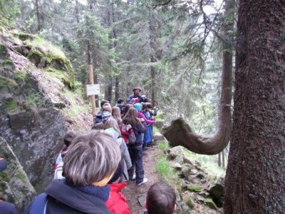 Schullandheim - NaturfreundeHaus Feldberg