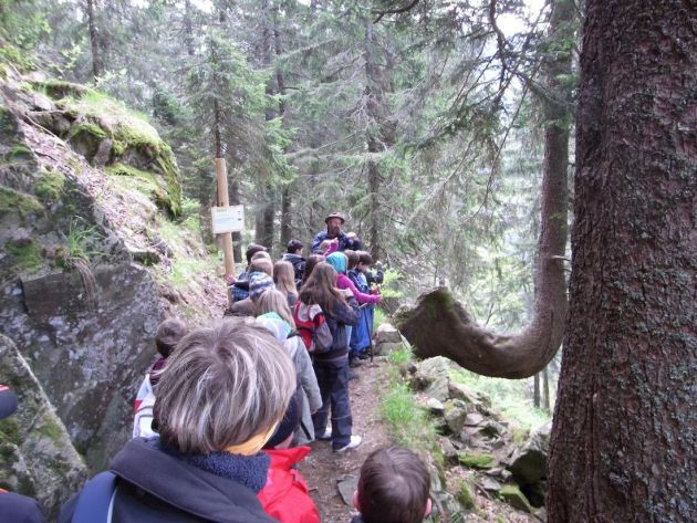 Schullandheim - NaturfreundeHaus Feldberg - Verband Deutscher ...