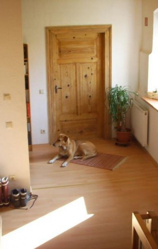 Erlebniszentrum Mühle Kolb