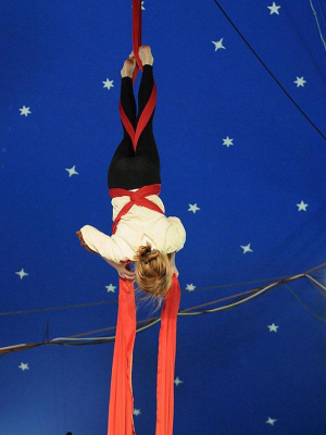 CircArtive Haus - Hof - Pimparello