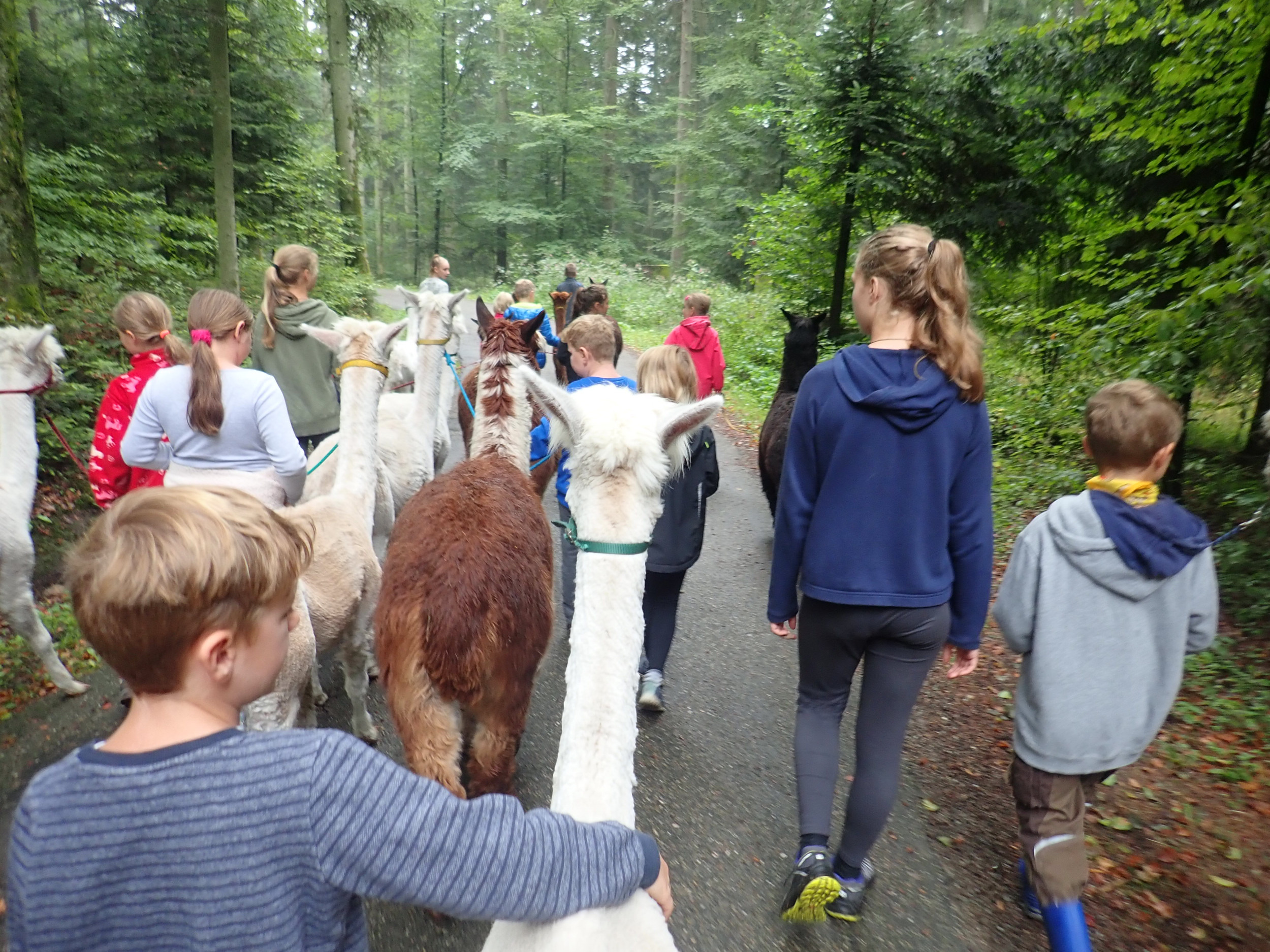 CircArtive Haus - Hof - Pimparello