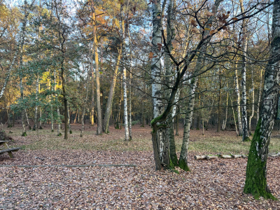 Schullandheim Heideheim