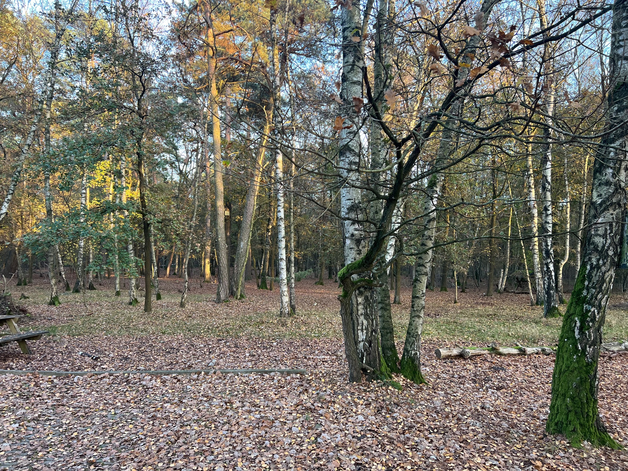 Schullandheim Heideheim