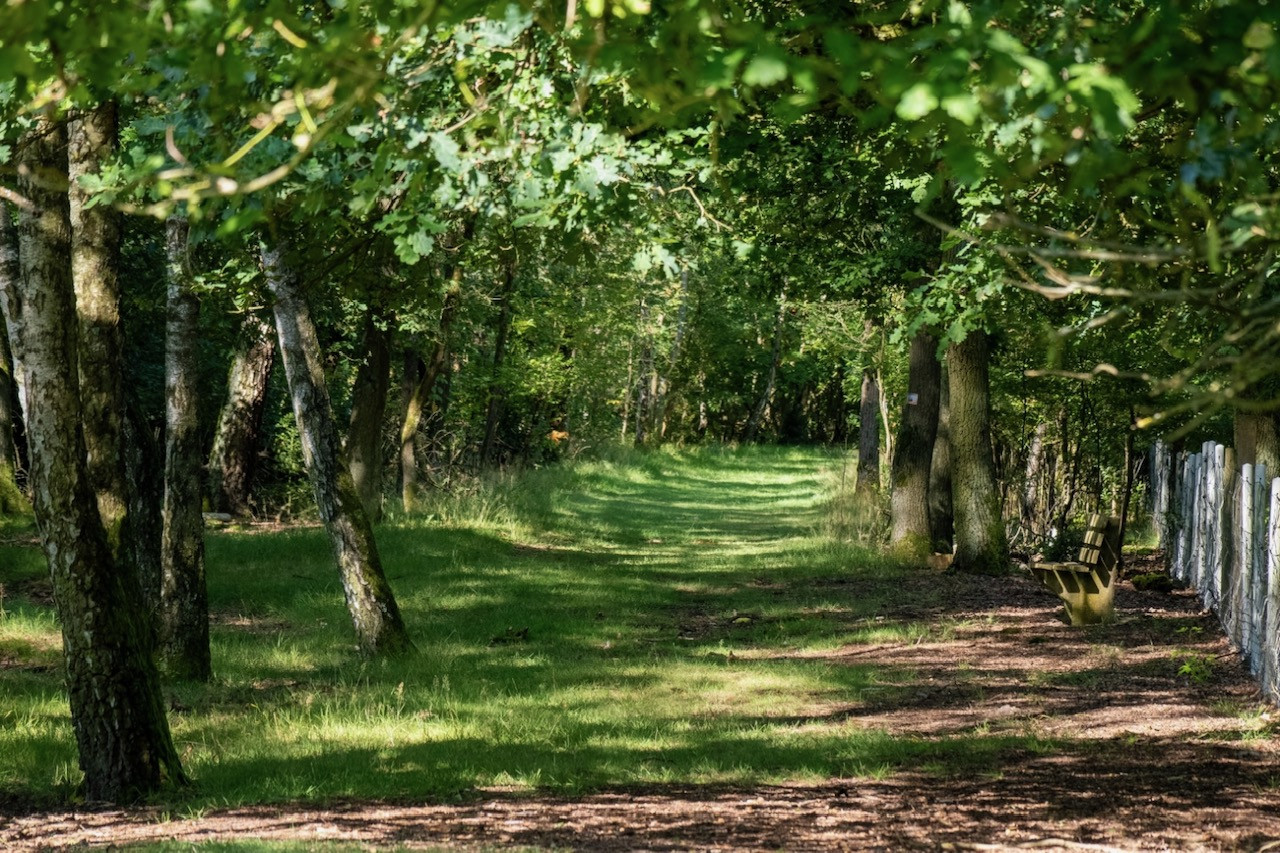 Schullandheim Heideheim
