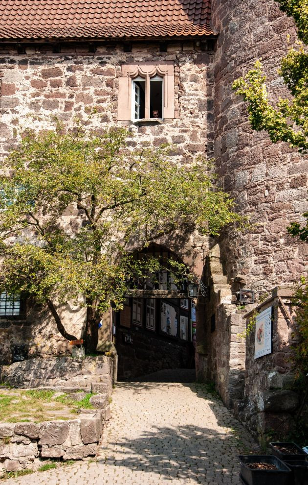 Burg Ludwigstein