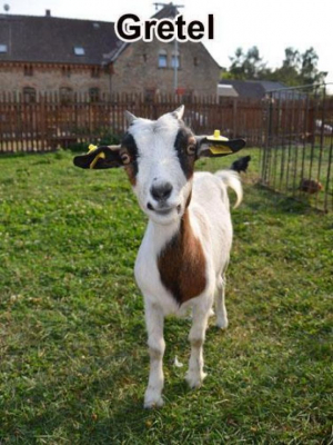 Schulbauernhof Othal