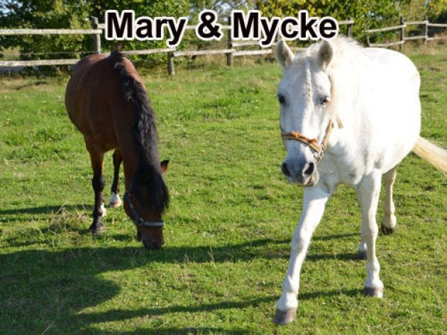 Schulbauernhof Othal