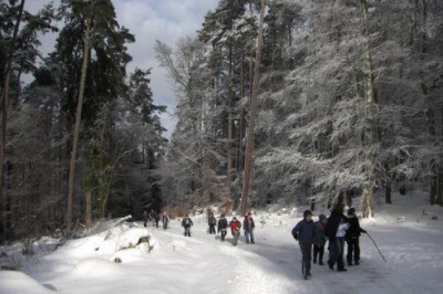 Umweltbildungszentrum Licherode gGmbH