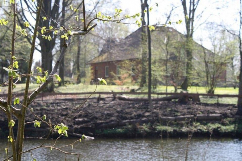 Erlenried