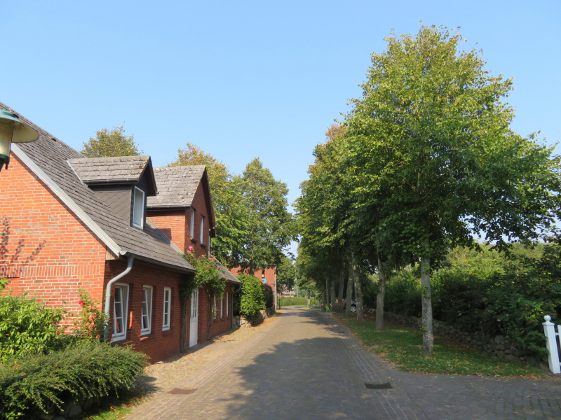 Ernst-Schlee-Schullandheim am GO e.V.