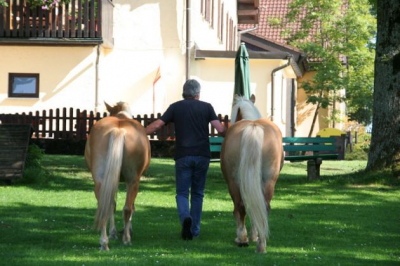 Freizeitheim Diepoldsburg