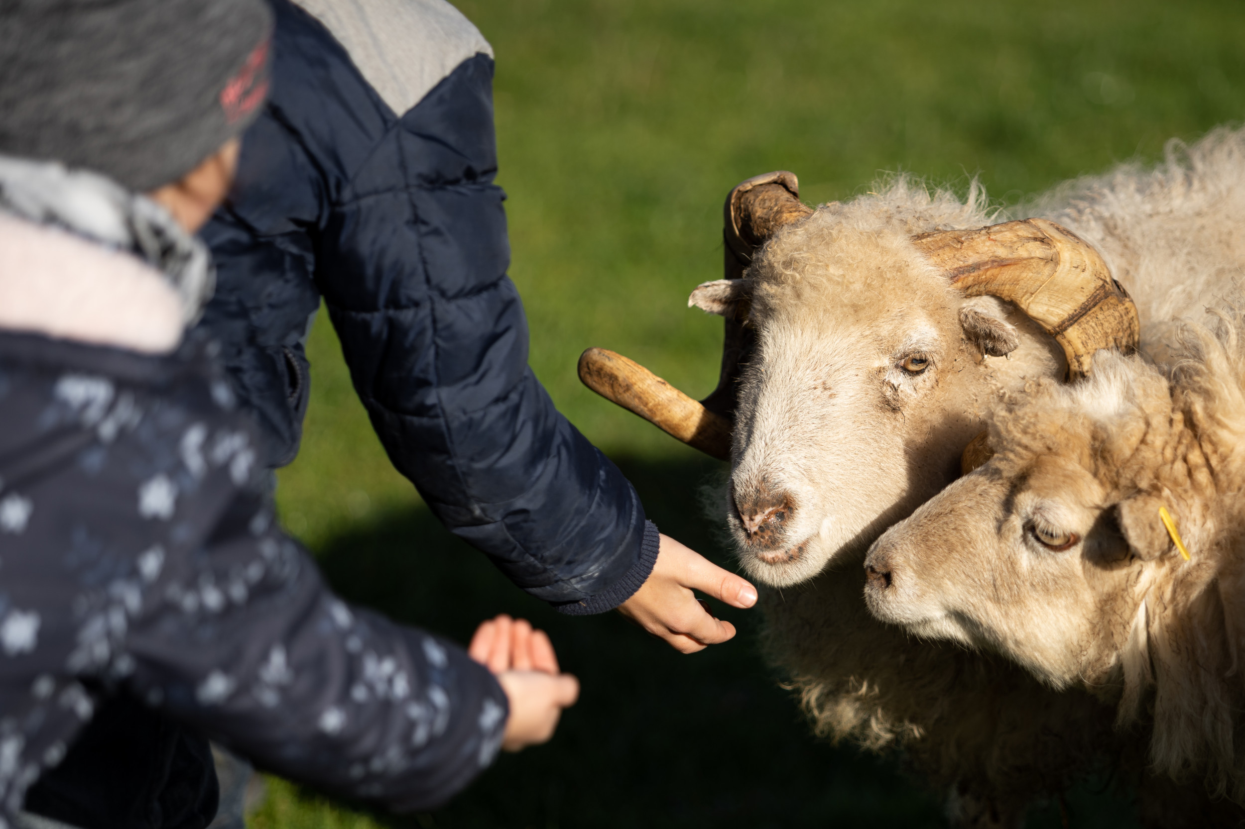 Landwert Schulbauernhof e.V.