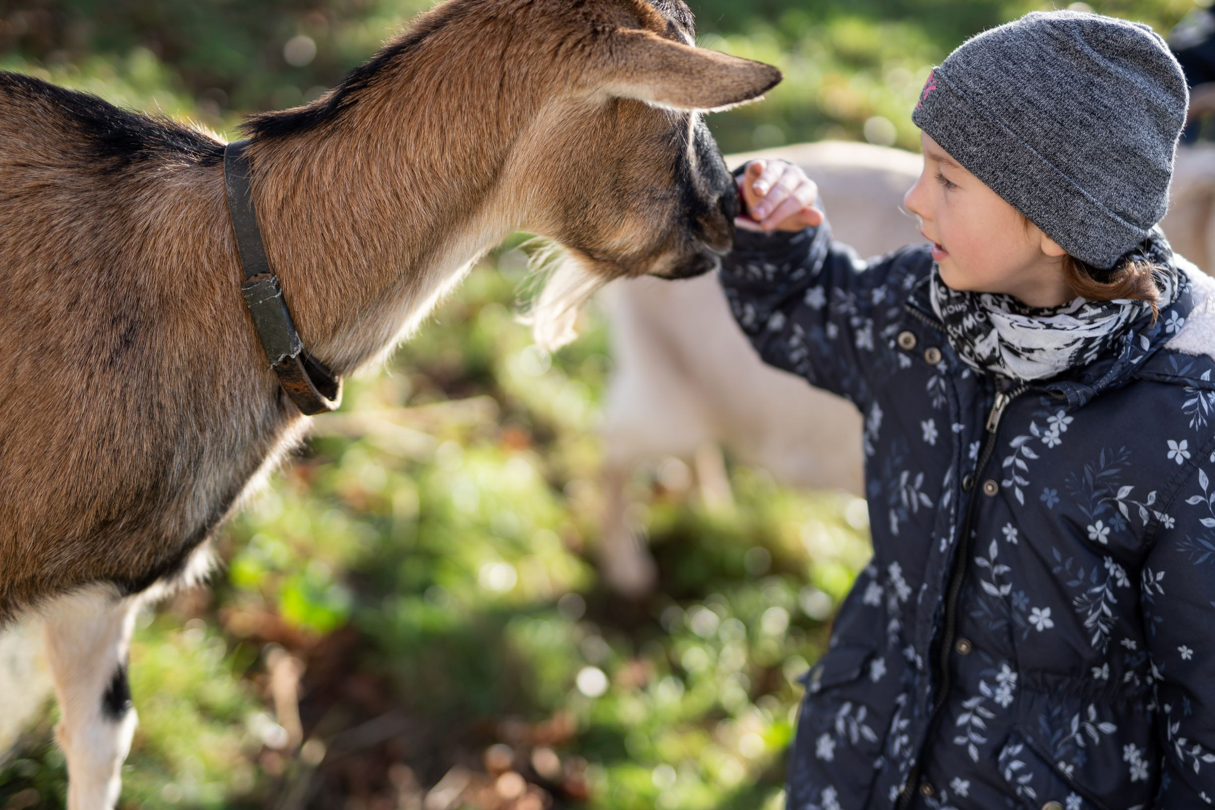 Landwert Schulbauernhof e.V.
