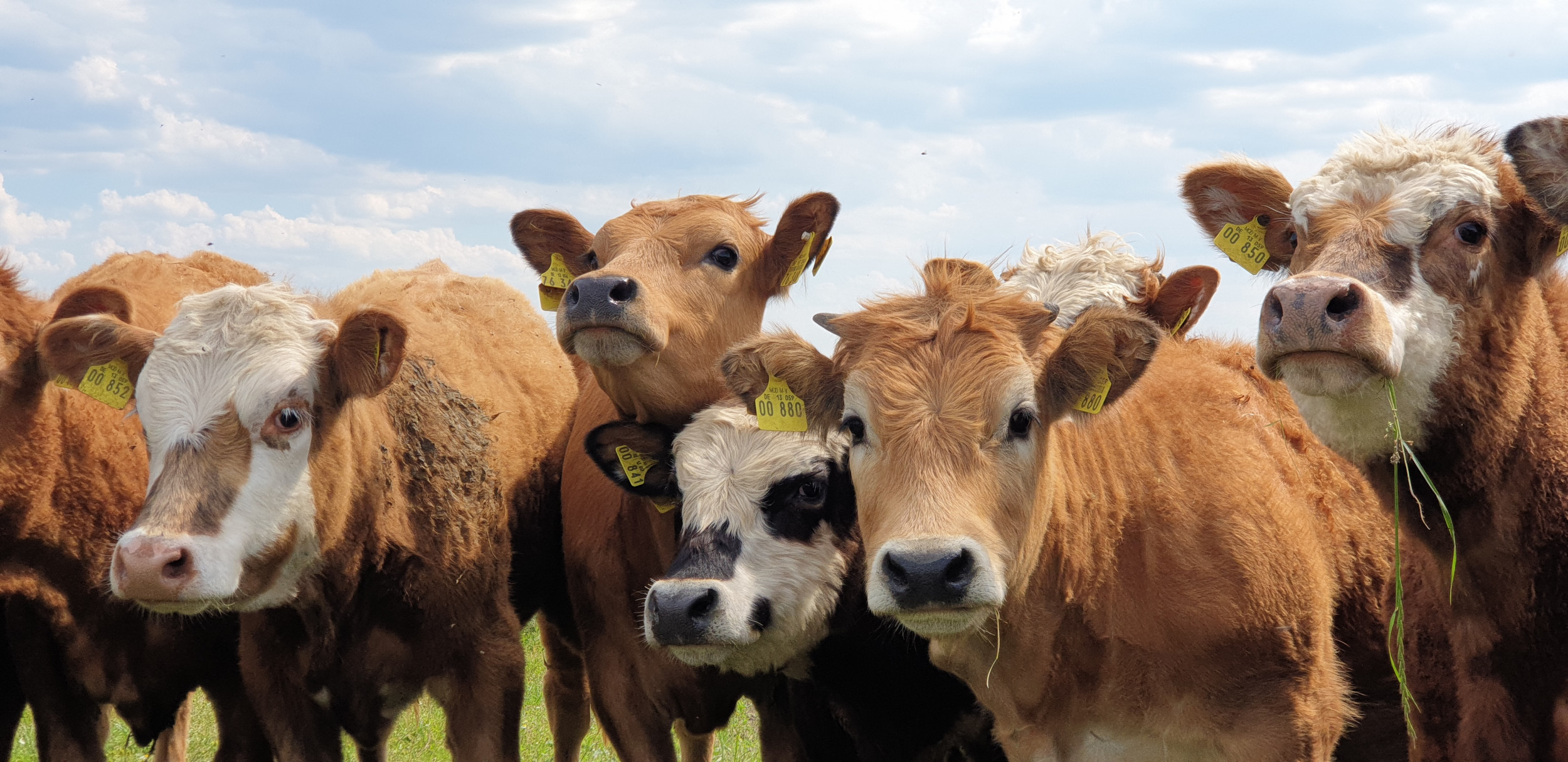 Landwert Schulbauernhof e.V.